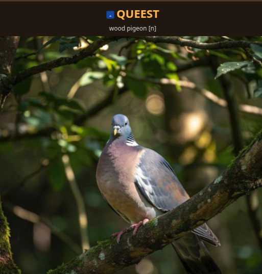 Image from: Word images